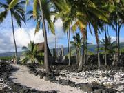 Image IMG_0824.JPG