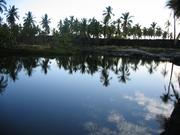 Image IMG_0858.JPG