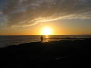 Image IMG_0880.JPG