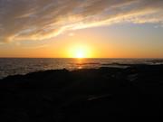 Image IMG_0890.JPG