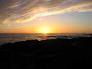 Image IMG_0893.JPG