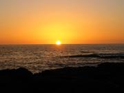 Image IMG_0895.JPG