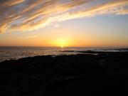 Image IMG_0899.JPG