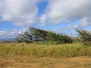 I wonder which way the winds blow here...