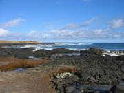 Some tidal pools.