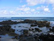 Some tidal pools.