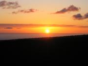 Image IMG_1059.JPG