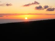 Image IMG_1065.JPG