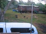 Image IMG_1518.JPG