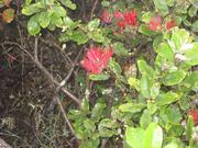 Image IMG_1408.JPG