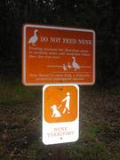 Image IMG_1429.JPG