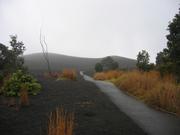 More of devastation trail.