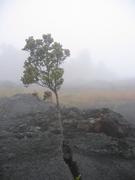 Rainy Volcano
