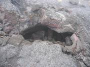 Lots of hollow spots under the ground