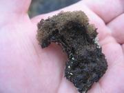 a single strand of Pele's hair, which is a thread made of lava 