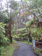 Image IMG_1604.JPG
