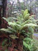Image IMG_1606.JPG