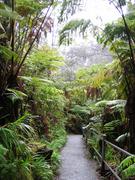 Image IMG_1633.JPG