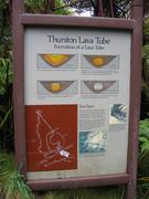 Background info for the tube