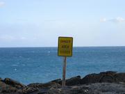 Image IMG_1681.JPG