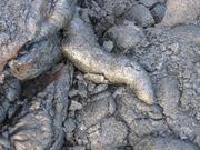 Old lava finger