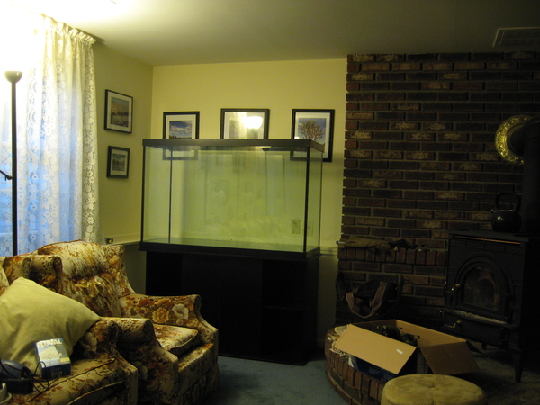 110 Gallon tank, empty