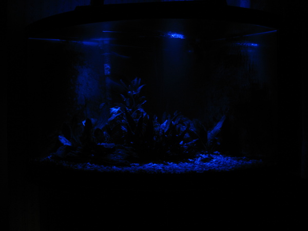 Current Lunar link lights on 54G