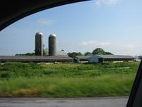 A farm.  How exciting.