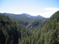 Image IMG_4428.JPG