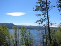 Image IMG_4450.JPG