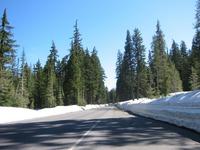 Image IMG_4459.JPG