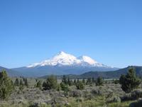 Mount Shasta