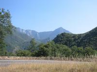 Image IMG_4491.JPG
