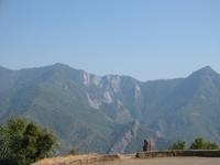 Image IMG_4503.JPG