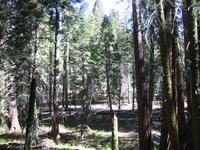 Image IMG_4566.JPG