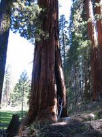 Image IMG_4571.JPG