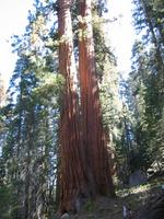 Image IMG_4573.JPG