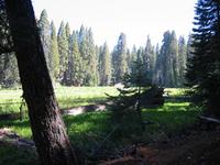 Crescent Meadow