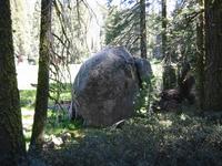 Image IMG_4582.JPG