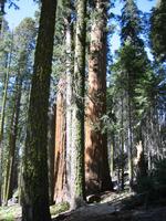 Image IMG_4599.JPG
