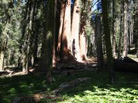 Image IMG_4616.JPG