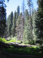 Image IMG_4636.JPG