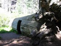 Image IMG_4639.JPG