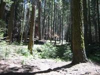 Image IMG_4652.JPG