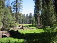 Image IMG_4657.JPG