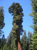 Image IMG_4659.JPG