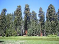 Image IMG_4661.JPG