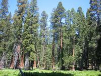Image IMG_4667.JPG