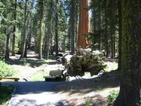 Image IMG_4668.JPG