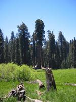Image IMG_4676.JPG
